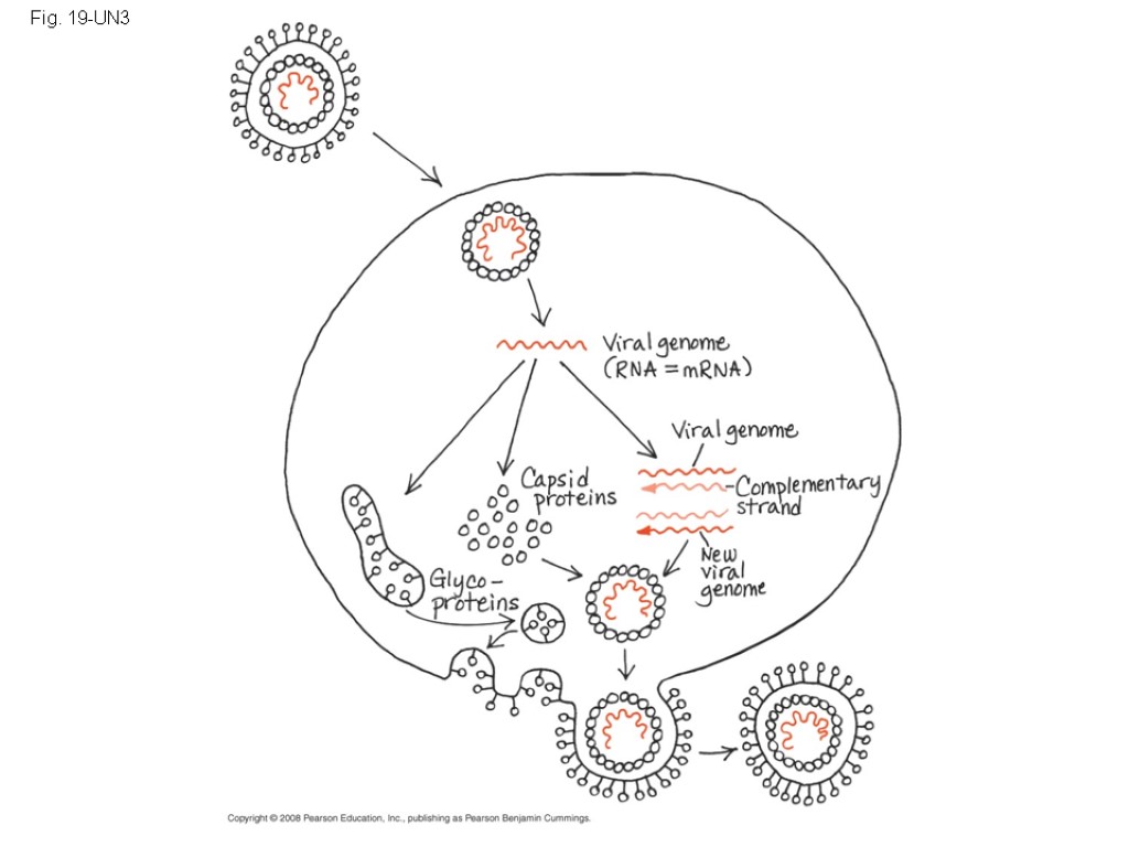 Fig. 19-UN3